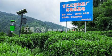 托普云农“茶博士” 助力古丈县打造“中国有机茶之乡”_托普云农农系设备网