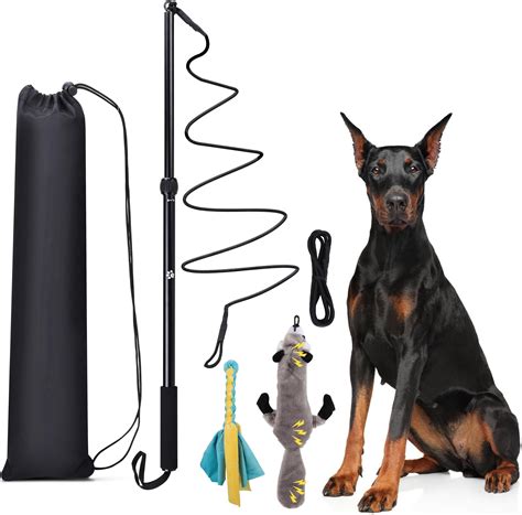 KOXXUD Flirt Pole Dogs, Dog Flirt Pole Extra Strong for Large Medium ...