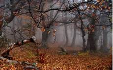 Spooky Fall Computer Backgrounds by 43 Creepy Fall Wallpaper On Wallpapersafari Spooky Fall Computer Backgrounds