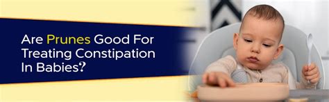 Are Prunes Good for Treating Constipation in Babies? – Ministry-Of-Nuts