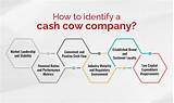 Cash Cow Companies in India