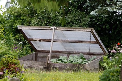 What Is A Cold Frame The Best Garden Cold Frames For 2025 | BBC