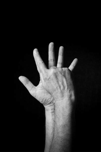 Europe in Sign Language 的图像结果