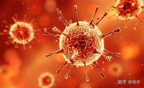 研究发现：人体中有380万亿个病毒，为何人类依然健在？_微生物