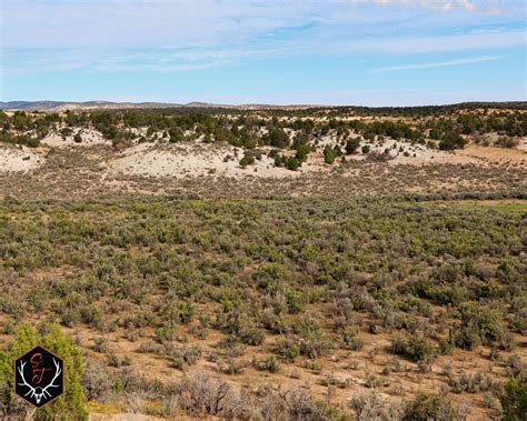 Little Duck Ridge | Rio Blanco County | Rangely, CO