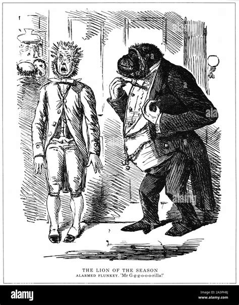 Evolution Theory 的图像结果