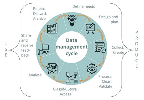 Information Management Process 的图像结果