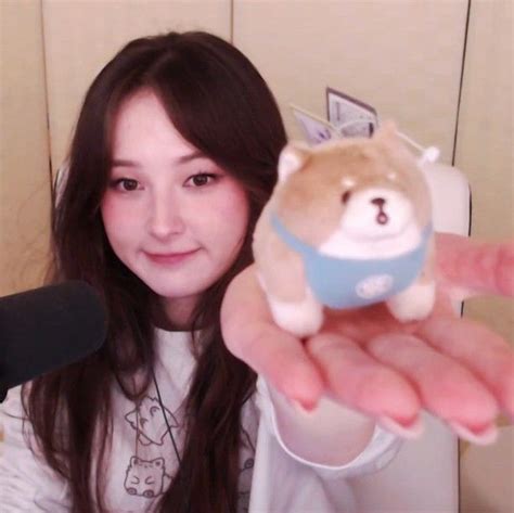 Image result for Tkinter Python Code Tina