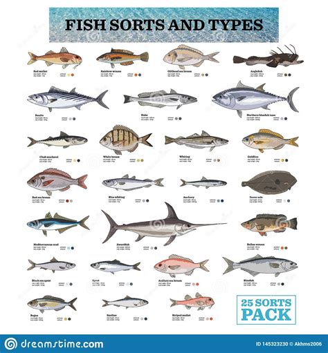 Species Of Ocean Fish