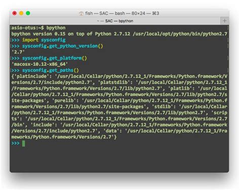 Config Python Module 的图像结果