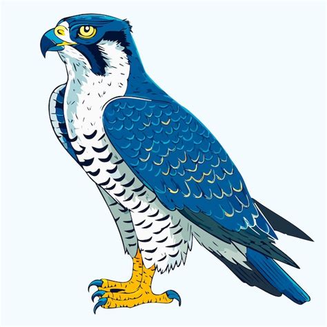 Un dessin d'un oiseau bleu et blanc avec des pieds jaunes | Vecteur ...