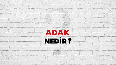 Adak Nedir, Ne Demek? TÜBİTAK Ansiklopedi ile Adak Ne Anlama Gelir ve Neyi İfade Eder?