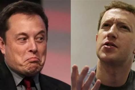 ‘Facebook Sucks,' Says Elon Musk After Facebook AI Head Criticised His ...
