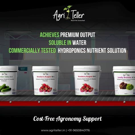 NFT vs DWC: A Comparative Analysis – Agriteller