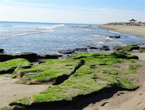 Kure Beach Photos - Featured Images of Kure Beach, North Carolina Coast ...