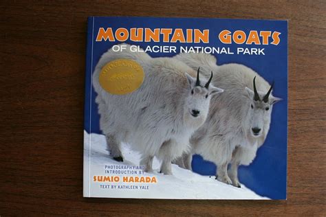 Buy Mountain Goats of Glacier National Park Book Online at Low Prices ...