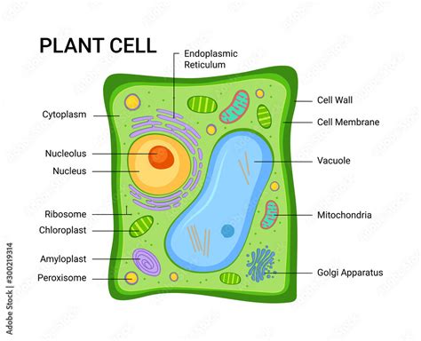 Nature Science Cell 的图像结果