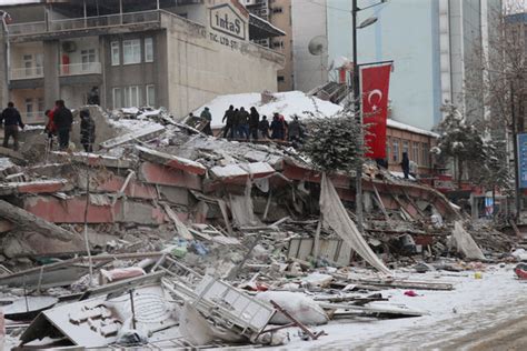土耳其地震发生前鸟类出现异常行为！相关视频曝光