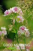 Image result for Good Morning Wildflowers