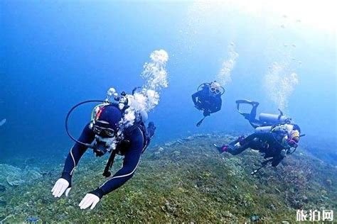 去海南三亚潜水，亲自体验海底世界