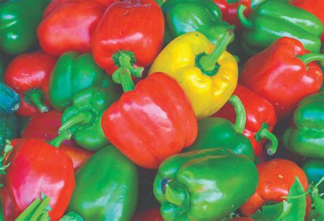 Why Are Bell Pepper Different Colors at Scott Gerber blog