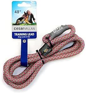 Cesar Millan Slip Lead Leash | Dog Leash | in Training Leash | (Regular ...