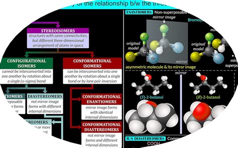 Shutter Waves Organic Chemistry Poster - Functional Groups and India | Ubuy