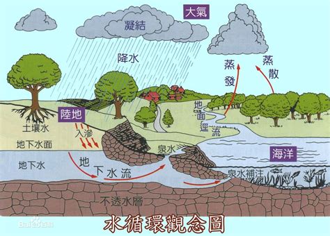 （四）自然地理原理——水循环、河流补给与洋流 - 知乎