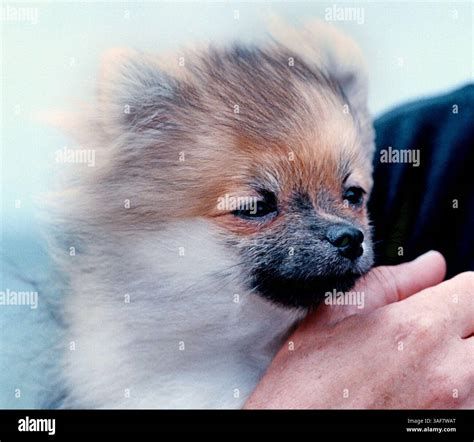 PT.110388.- - DELIVER TO:.Pasco desk.- -.9/17/2000.- -.New Port Richey ...