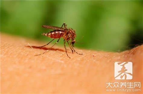 【冬天家里蚊子多的原因是什么？】_怎么引起_什么原因-大众养生网