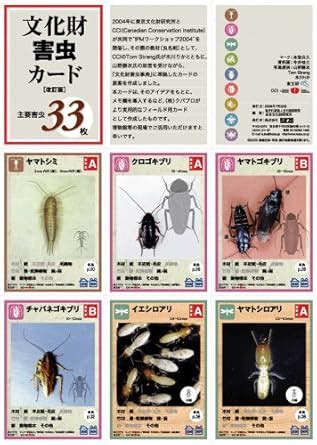 เศรษฐี วัย 28 ปี แนะนำวัยรุ่นเร่งฝึกทักษะ AI เขียนโค้ด เพิ่มความได้เปรียบในตลาดแรงงาน #thestandardwealth #เขียนโค้ด #ai #พัฒนาตัวเอง
