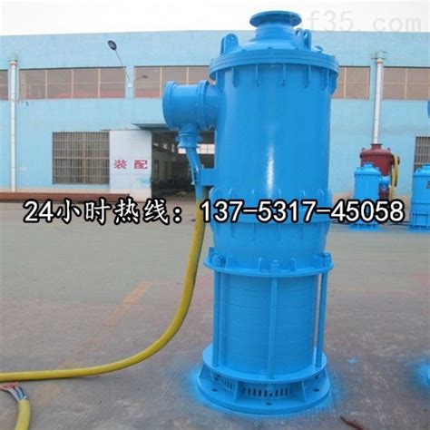 BQS45-50-15/N矿用潜水立式排污泵*遵义市-泵阀商务网