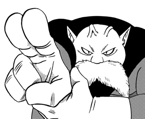 Toppo 的图像结果