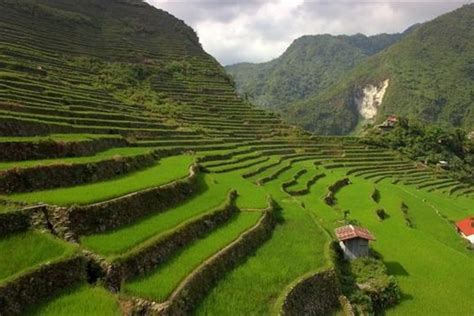 Mayan Terrace Farming