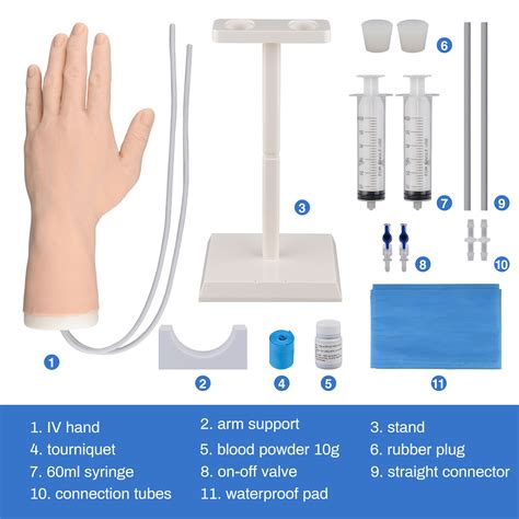 Professional IV Hand Practice Kit for Clinical Nursing Courses
