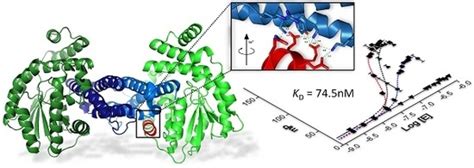 Mapping Protein–Protein Interactions of the Resistance-Related ...