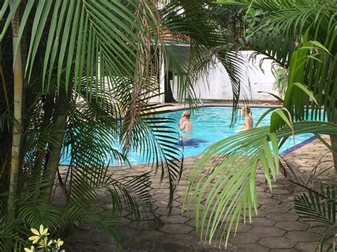 FIRE DRAGON HIDEAWAY (Katana) - Guesthouse Reviews & Photos - Tripadvisor