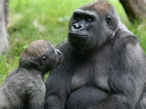 Franklin/Foxboro Line on the Commuter Rail