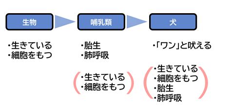 Image result for HTML/CSS JS Flowchart