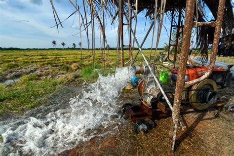 建输水设备灌溉稻田 农粮部再拨丹州40万 - 地方