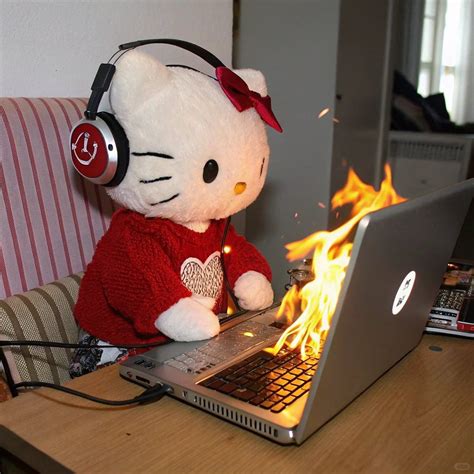 hello kitty meme em 2025 | Coisas da hello kitty, Hello kitty, Frases e ...