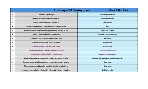 Anatomy of fowering plant - 1 Epidermal appendages Trichomes and Hairs ...