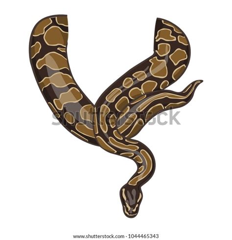 Image result for Python around Neck