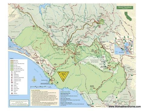 Mount Tamalpais East Peak Hike | Marin County Loop Hikes | Marin Hikes