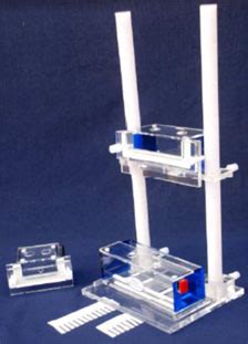 The Science House : Products : Electrophoresis