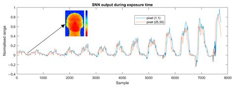 Spiking Neural Networks in Imaging: A Review and Case Study