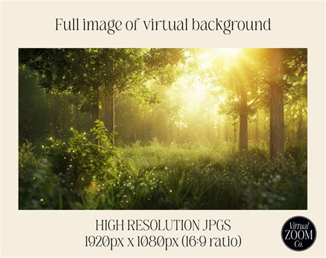 Meeting Background 的图像结果