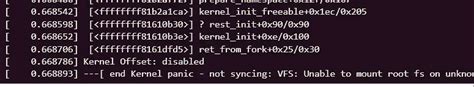 Image result for Kernel Panic Not Syncing VM VirtualBox
