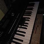 Roland E-X30 Arranger Keyboard (61 keys) : Amazon.in: Musical Instruments