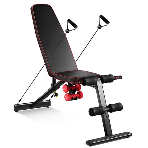 Buy Weight Bench Adjustable Workout Bench with Dumbbell and Resistance ...